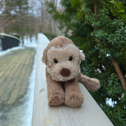 George Smudge Monkey